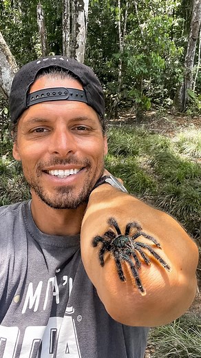 Adventure Traveler & Blogger | 🇸🇷 Would you try this? The venemous bird eating spider, a type of tarantula! Very soft little hairy friend that if he would have bitten me... | Instagram