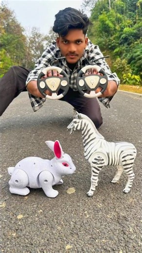 OMG! RC Rabbit 🐰 vs RC Zebra 🦓 | Remote Control Animal Battle 😱