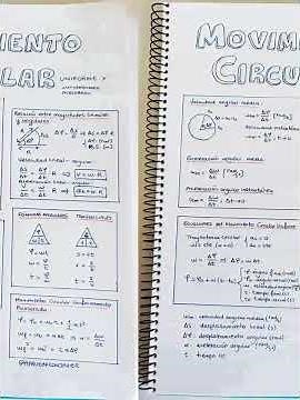 Circular Motion #mathematics #algebraically #classes