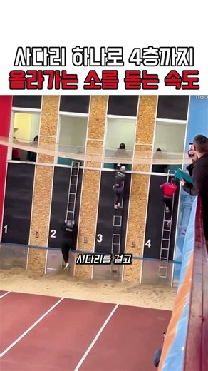 사다리 하나로 4층까지 올라가는 소름 돋는 속도