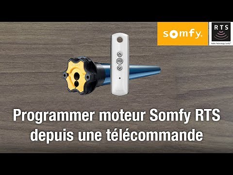 Program Somfy RTS remote control and its motor (Reset) - 100% Roller Shutter