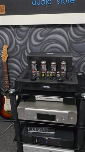 🌡🌡🌡🌡 Audio Research i50