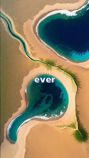 Sahara Desert's Transformation: From Lush Oasis to Golden Sand