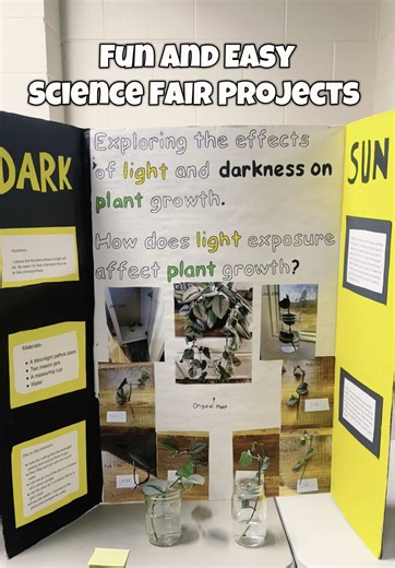 teacher.fits on TikTok