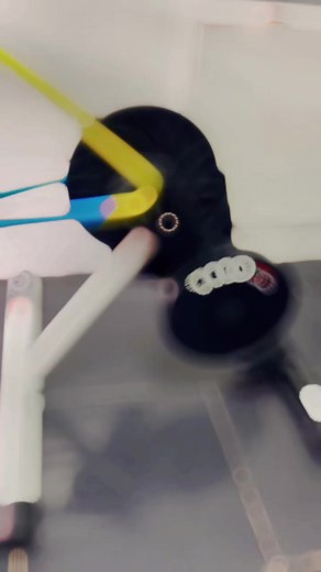 5.8K views · 176 reactions | Indoor Grind with Magene T110 smart Trainer Magene Technology #wearemageneious #SmartTrainer #T110 | Ruthy | Facebook