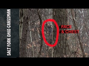 Salt Fork Ohio Grassman Evidence Update - Bigfoot - Sasquatch