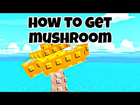 How to Get Mushroom in Build An Island Roblox | Volcano Update