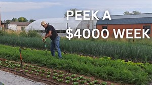 Inside a $4,000 Week on a Small Farm