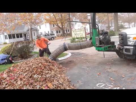 Leaf Removal Service, Leaf Cleanup & Leaf Collection