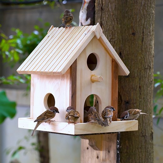 Build a Creative Wooden Bird House and Bird Feeder | DIY Woodworking Project for Nature Lovers #Woodworking #DIYProjects #BirdHouse #BirdFeeder #WoodCrafts #BackyardDIY #CreativeDIY #NatureLovers #WoodworkingForBeginners #HandmadeCrafts | Woodworking Tools