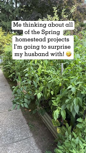 The list just keeps growing and growing! 🤣 We are going to be busy this Spring! 🔨 🪴 🐣 #ourwrensnest #hobbyfarm #gardening #chickenkeeping