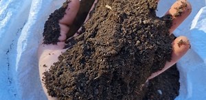 Tout savoir sur le compost au potager | Terra Potager