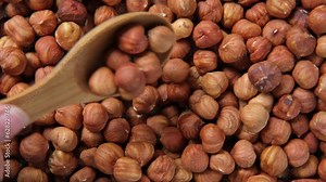Hazelnuts harvest. Filbert video wallpaper. Full frame of hazel. Cobnut background. Peeled brown nut kernels. Healthy organic bio products. Vegetarian, vegan and raw food. Back to nature. Healthy fat
