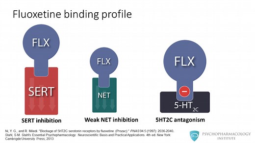 The Psychopharmacology of Fluoxetine: Mechanism of Action, Indications, Pharmacokinetics and Dosing