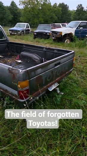 Just taking a walk through the field of forgotten Toyotas! #Toyota #Hilux #4Runner #22R #22RE