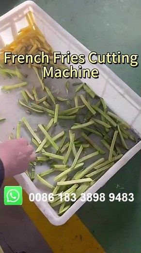 French Fries Cutting Machine | Automatic Potato Strip Cutter