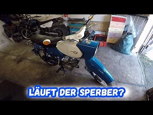 Läuft der Sperber jetzt endlich?! | Datta
