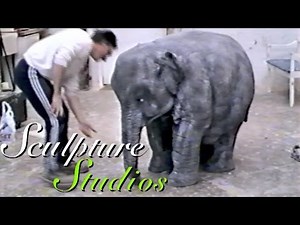 Baby Elephant Costume by Sculpture Studios