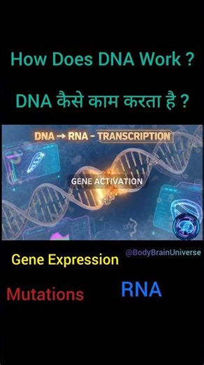 DNA Kaise Kaam Karta Hai? Gene Expression & Mutation Explained | DNA to Protein