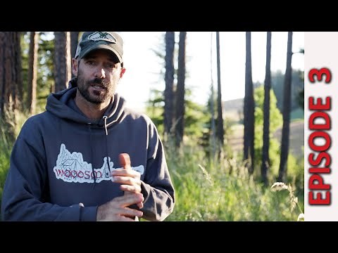 Alone Season 8 Episode 3 Recap