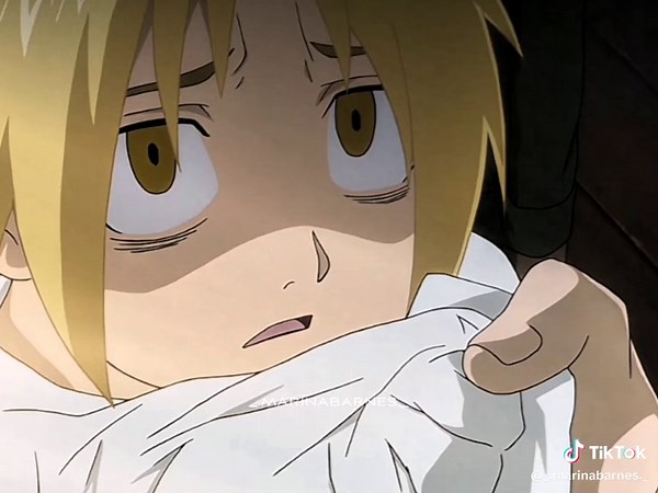 Fullmetal Alchemist Brotherhood Characters Explained