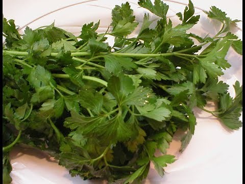 Parsley 101-Drying and Freezing Fresh Parsley