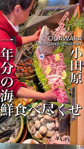 まるで竜宮城… 80分海鮮食べ放題が4200円 1年分の海鮮を食べ尽くしたい そんな気持ちにさせてくれる海鮮天国で 海鮮がズラリと並んでる瞬間からテンションが上がる 好きなネタを好きなだけ取って 心ゆくまで頬張れるって幸せ しかもここの良さは ただ量が多いだけじゃなくて 海鮮の旨みがちゃんとしてるところで 炙りの香ばしさが加わると一気に食欲が加速する 気づけば箸が止まらなくて 80分が一瞬に感じる 海鮮好きなら 一度はこの食べ放題で満たされてほしい 気になる人は保存で間違いない 東関東のコスパ店はプロフィールへ ―――――― ◆店舗情報 あぶりや 0465-24-7804 神奈川県小田原市早川1-9-6 小田原早川漁村 1F （早川駅 徒歩5分） ―――――― #PR #神奈川グルメ #食べ放題 #海鮮 #小田原グルメ