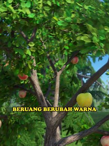 Masha and the Bear: Transformasi Warna Beruang