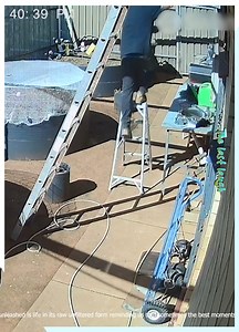 3.5M views · 53K reactions | Unpredictable Chaos Unleashed! 勞 | The last laugh | Facebook