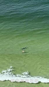 6.5M views · 15K reactions | In b4 'it's their ocean, not ours!' 'he knew the risks' 'won't somebody think of the children?' etc etc etc Thanks to Boom Boom: | Downrigger Shop | Facebook