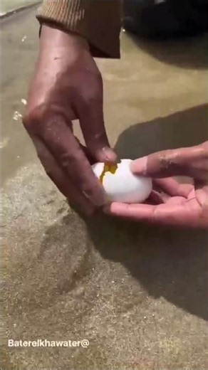كسر بيضة في البحر 🥚🏖️