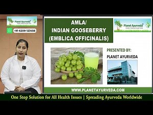 Amla/ Indian Gooseberry (Emblica officinalis) Health Benefits, Medicinal Properties & Complete Info.