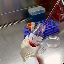 Video: Collection of Serum- and Feeder-free Mouse Embryonic Stem Cell-conditioned Medium for a Cell-free Approach