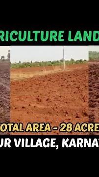 KUNCHAVARAM : 28 ACRES CHEAP AGRICULTURE LAND FOR SALE | CHINCHOLI | KARNATAKA | Landsinindia.in