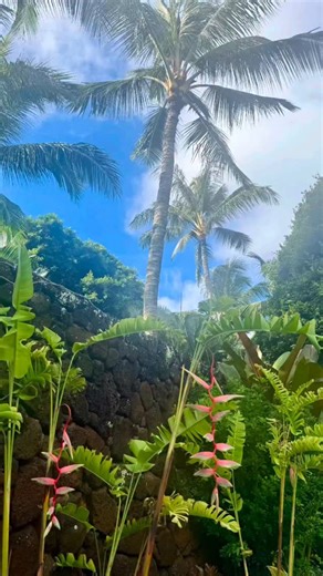 I ❤️Kauai, Hawaii. 🌴🌴🌴🌴 Whether it’s a sun - soaked beach day or a lush tropical adventure. 🌴🌺🍍🦜 Breathtaking waterfalls, and mouthwatering Hawaiian cuisine equal , paradise found! 🌴 Staying at the dreamy @kukuiula makes for the the perfect Hawaiian resort escape.🌺 All my Hawaii travel outfits are featured in Marney’s Tidbits LTK. (Link in bio) My fav Hawaiian resorts, including Oahu, Maui, Kauai, Lanai, and The Big Island are featured in my Expedia travel shop. (Link in bio) ✈️ Follow