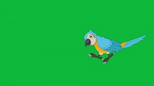2d Bird Animation Cute Little Parrot Stock Footage Video (100% Royalty-free) 3705206875 | Shutterstock