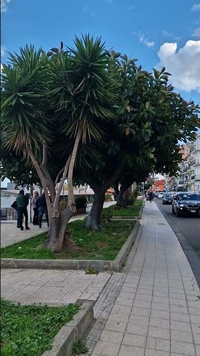 Sicily's Best Kept Secret? 🤫 Giardini Naxos VIBES! #GiardiniNaxos