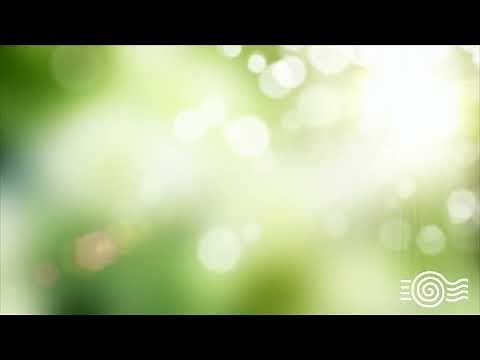 The Secret Universal Mind Meditation (by Kelly Howell)