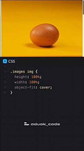 Sticky Image Scroll Effect in CSS 🔥