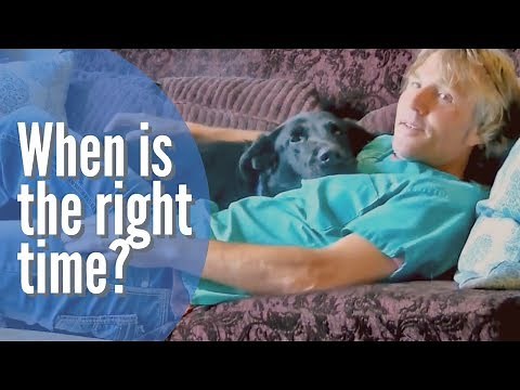 Keep your pet alive, or Euthanize?