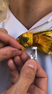 3K views · 14 reactions | Viviana Fur For lav plus Viviana Dot premium with a hole rectangular shape. Can you create a smaller lav mic Wind protector than this? It is easy, that’s it, follow us 朗☑️朗 #vivianasoundsolutions | Viviana Sound Solutions | Facebook