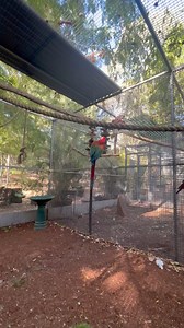 45K views · 2.7K reactions | You will never be able to justify to me...