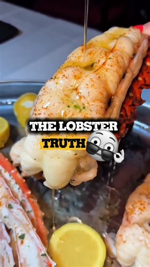 The hidden health benefits of lobster! 🦞 #viral #facts #sciencefacts #usa #shorts