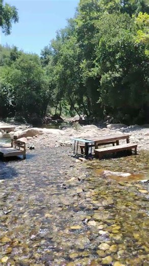 Tam "Çok Huzurlu" Derken Uçup Giden Ördekler! 😂🌾