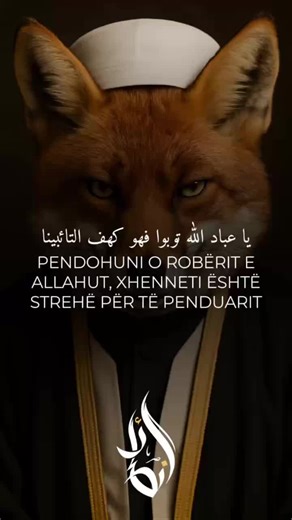 Ebu Duxhane El Albani on TikTok