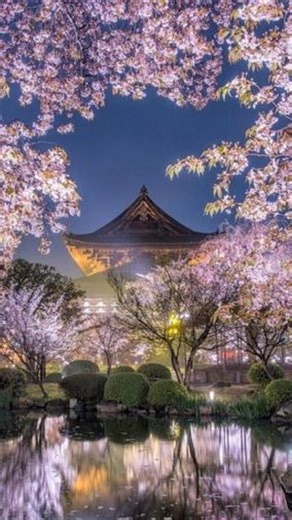 alphaxygz_ on Instagram: "Follow for more ❤️ 日本利用压电瓷砖将脚步转化为电能。这些瓷砖捕捉来自你脚步的动能。当你行走时，你的重量和动作会对瓷砖产生压力。瓷砖会轻微弯曲，从而产生机械应力。瓷砖内部的压电材料将这种应力转化为电能。每一步都会产生少量电荷，而数百万步结合在一起就能产生足够的电力来驱动 LED 灯、数字显示屏和传感器。在像涩谷车站这样繁忙的地方，每天大约有 240 万个脚步为这一系统作出贡献。这些电能可以被储存或立即使用，从而减少对传统电力来源的依赖，并支持可持续的城市基础设施。这种方法将日常运动转化为实用的可再生能源"