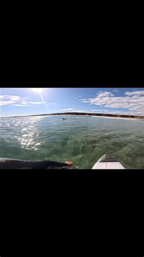 SURFING WITH THE BEST VOICEOVER EVER! 😂 SUCH A LEGENDARY INTERVIEW. #povsurfing #surfing