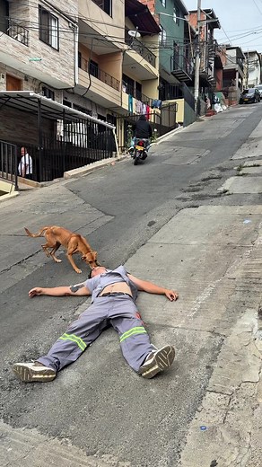 Ya para que un apoyo económico Si le negaste todo cuando estaba en vida!!