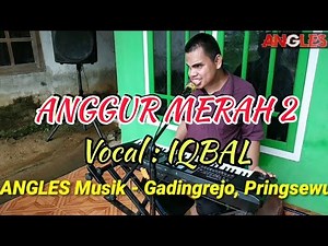 🔵ANGGUR MERAH 2 Cover IQBAL