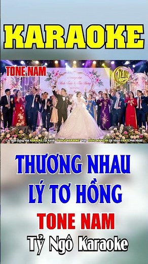 THƯƠNG NHAU LÝ TƠ HỒNG REMIX TONE NAM #tyngokaraoke #karaoke #bolerohay